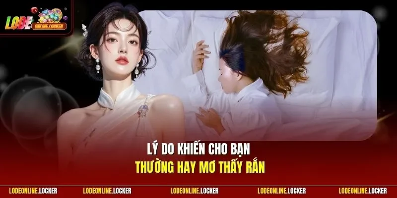 Lý do khiến cho bạn thường hay mơ thấy rắn